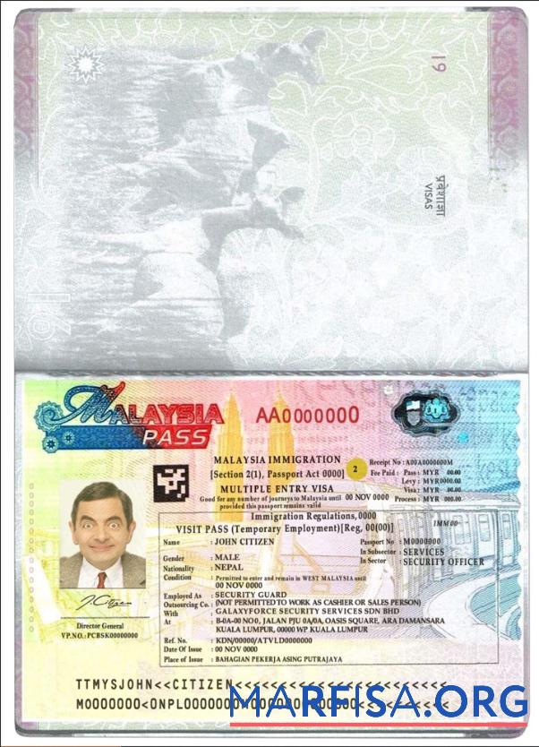 Realistic Malaysia multiple entry visa template